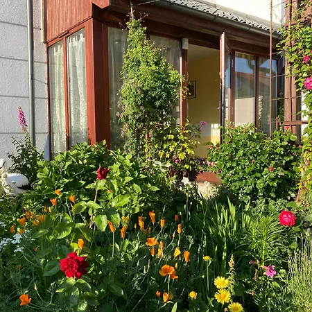 Casa Blanca Проживание в семье *